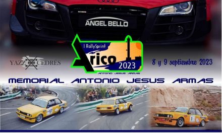 I Rallysprint Arico Memorial Antonio Jesús Armas, este sábado en el tramo de “El Porís”
