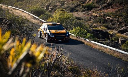 Pedro Javier Afonso y Javier Afonso revalidan su título en la IV edición del Rallysprint de Arico